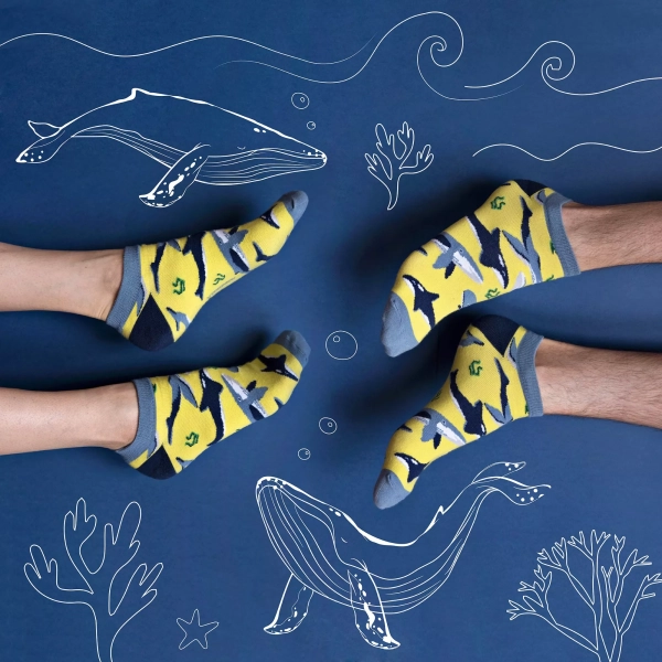 Chaussettes Baleine