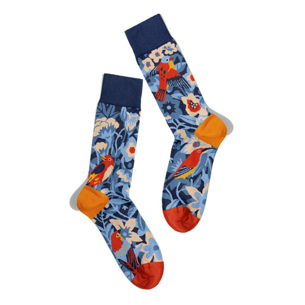 Chaussettes Oiseaux Nature