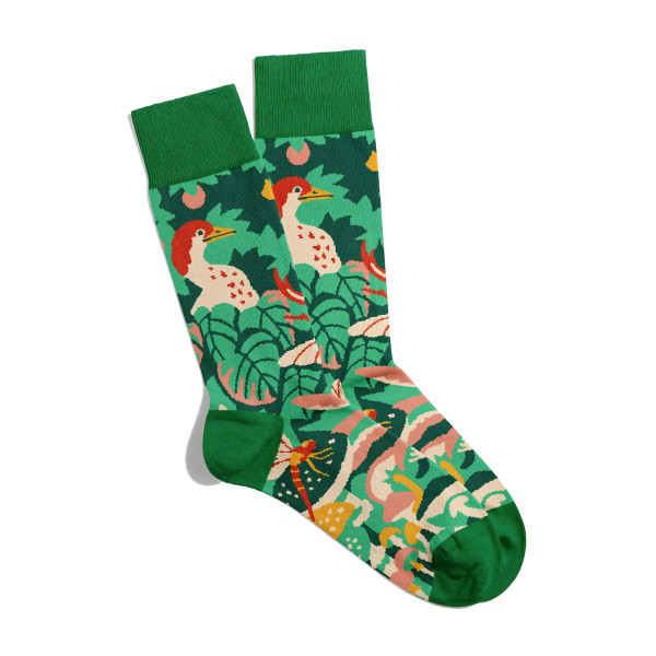 Coléoptères Tropical