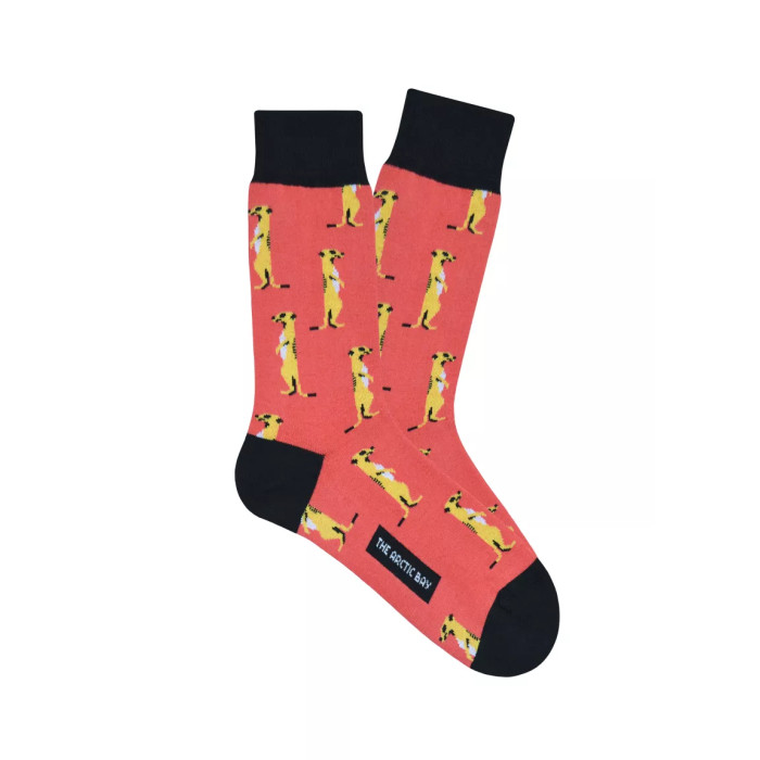 Chaussettes Suricate| Style Sauvage| YouSocks