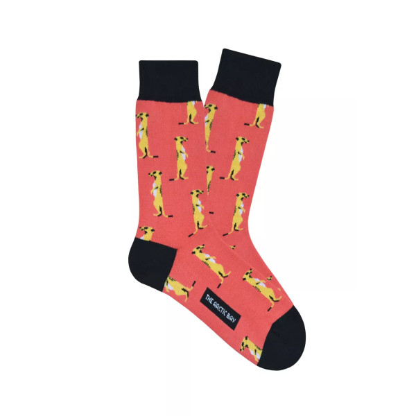 Chaussettes Suricate| Style Sauvage| YouSocks