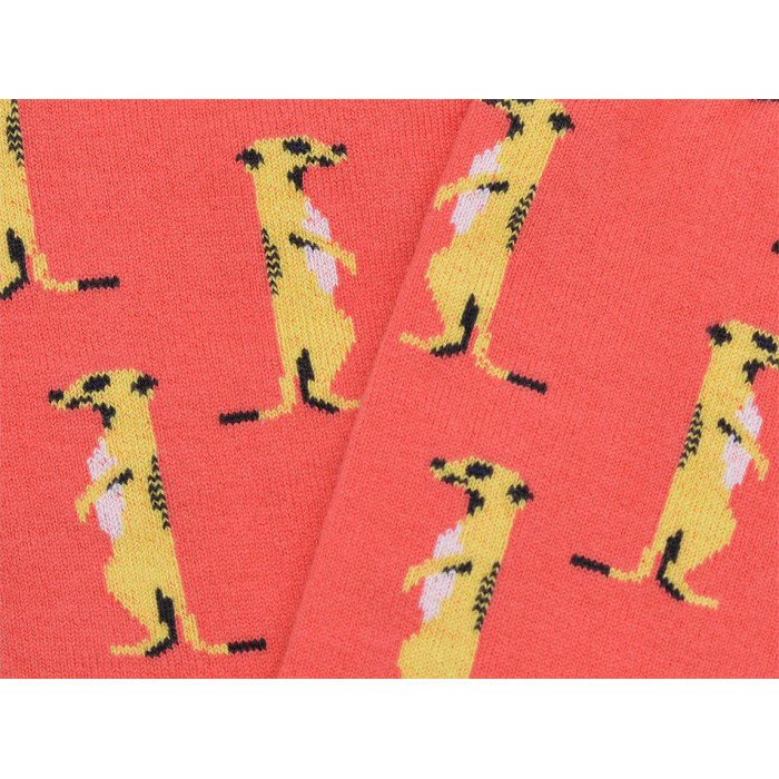 Chaussettes Suricate| Style Sauvage| YouSocks 2