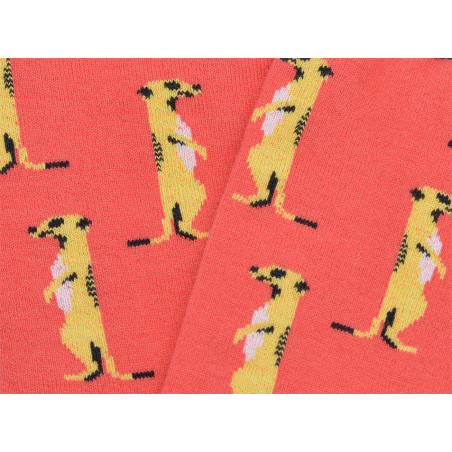 Meerkat Socks | Wild Style | Yousocks