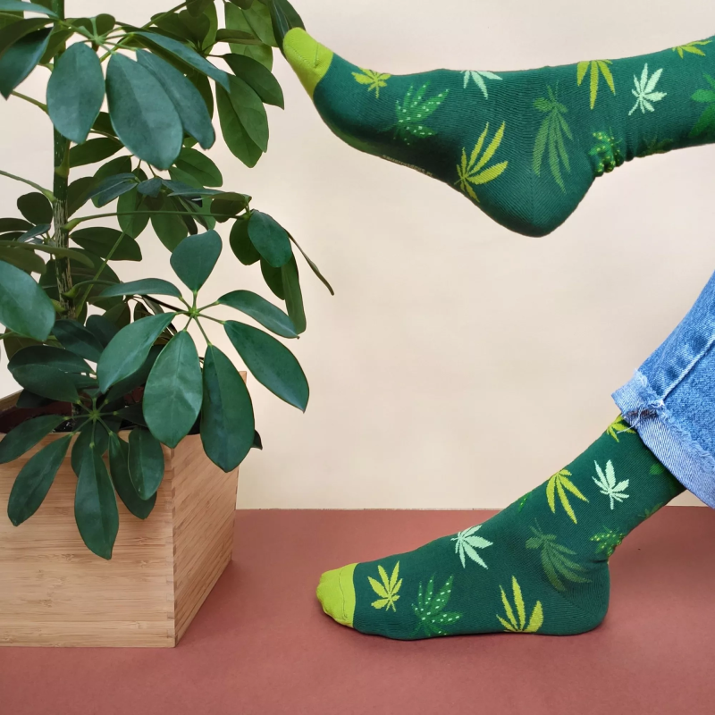 Plant Spirit